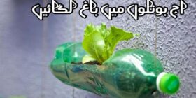 Recycle Plastic Bottle Plant