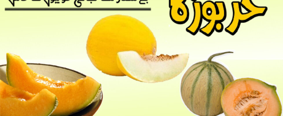 Melon header
