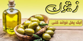 Benefits of Olive Fruit